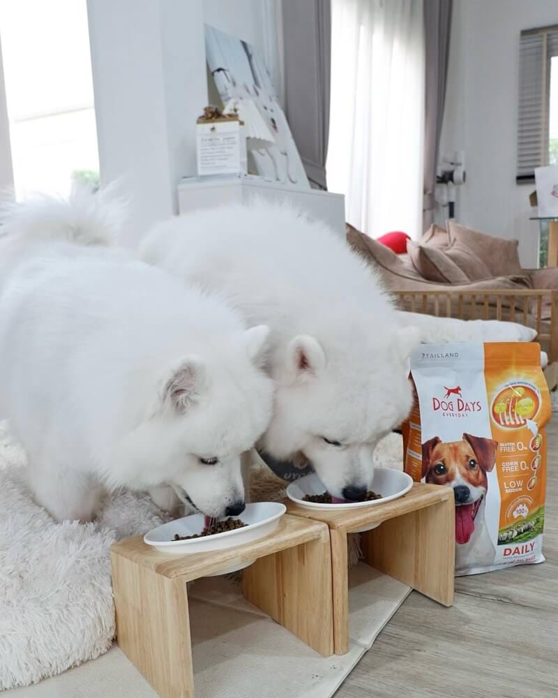 อาหารเม็ดสำหรับสุนัข DOG DAYS DAILY เกรดโฮลิสติก รสเนื้อแกะ สูตรลดขนร่วงโดยเฉพาะ (3 KG)_6